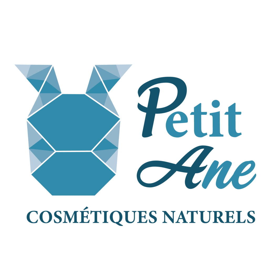 Portfolio - Projet Petit Ane