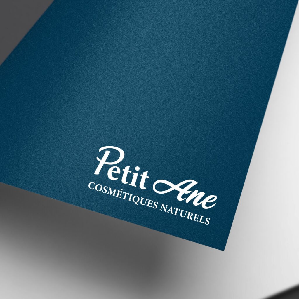 Book Graphiste - Création logo