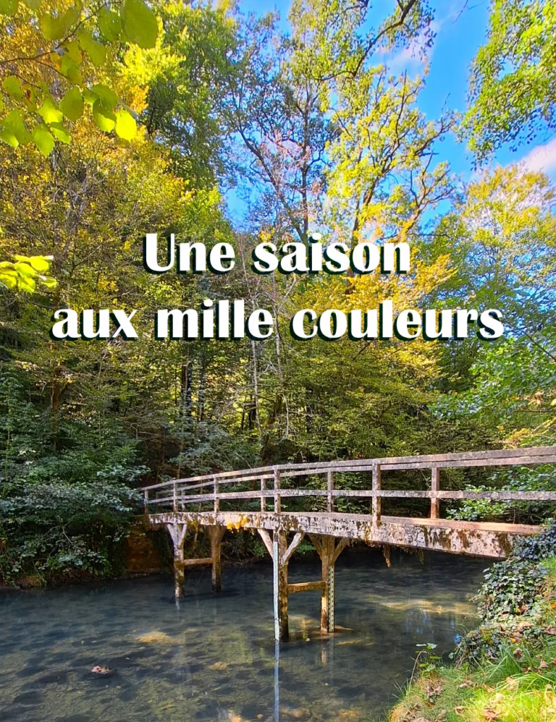 Actu Graphisme - L'automne et ses mille couleurs